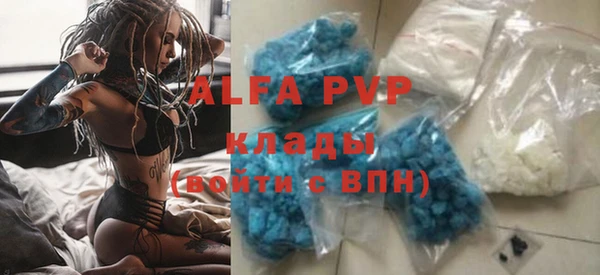 ГАЛЛЮЦИНОГЕННЫЕ ГРИБЫ Горняк