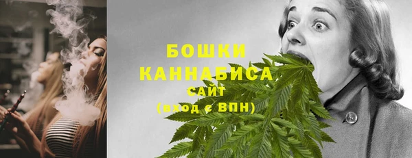 сатива Горнозаводск