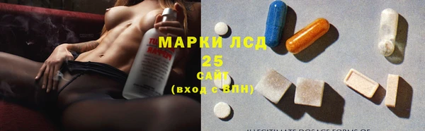 ГАЛЛЮЦИНОГЕННЫЕ ГРИБЫ Горняк