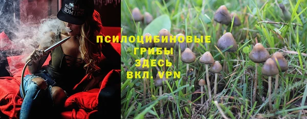 сатива Горнозаводск