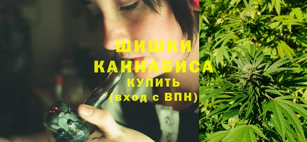ГАЛЛЮЦИНОГЕННЫЕ ГРИБЫ Горняк