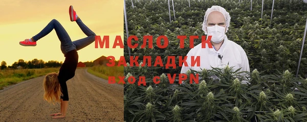 сатива Горнозаводск