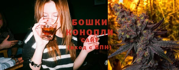 сатива Горнозаводск