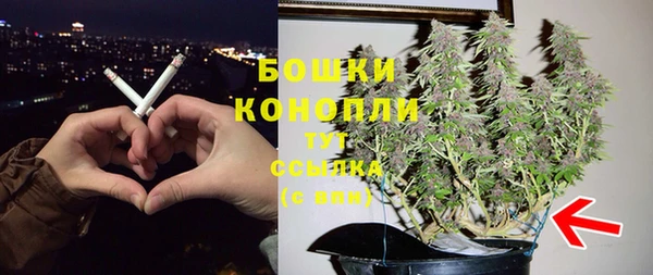 ГАЛЛЮЦИНОГЕННЫЕ ГРИБЫ Горняк